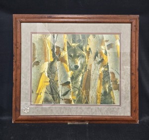 lot 277 image: Framed Limited Edition Print 211600 Wolf Among Birches
