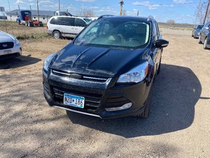 lot 8 image: 2016 Ford Escape