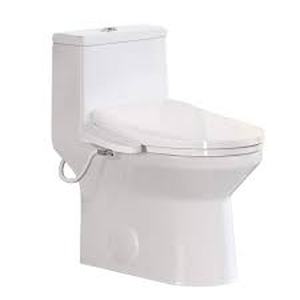 HOROW ADA Chair Height Elongated Bidet Toilet Combo Dual Flush 0.8/1.28 GPF in White with Electric Bidet Seat, Warm Air Dryer  Customer  Returns See Pictures
