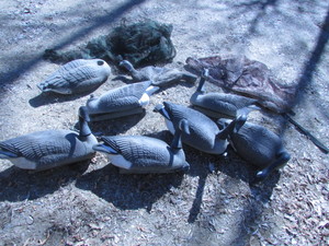 lot 6 image: GEESE DECOY LOT