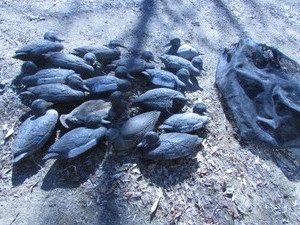 lot 7 image: DUCK DECOY LOT