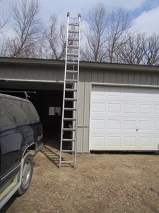 lot 219 image: EXTENSION LADDER-LARGE