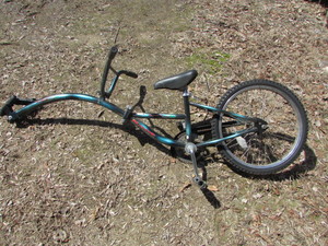lot 225 image: CO-PILOT BIKE ATTACHMENT