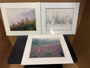 lot 51 image: Jay Steinke Photography Prints Fireweed, Winter Visit, Lupine Meadow.