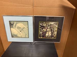 lot 52 image: Nature Artwork