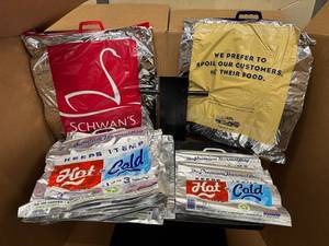 lot 99 image: Lot of Ten Insulated Grocery Bags