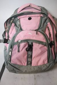 lot 43 image: High Sierra Pink and Gray Backpack with Suspension Strap System