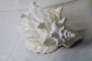 lot 243 image: Ceramic Conch Shell Vase