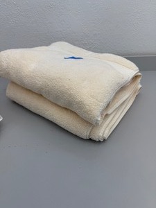 lot 8 image: Set of 2 Cream Bath Towels