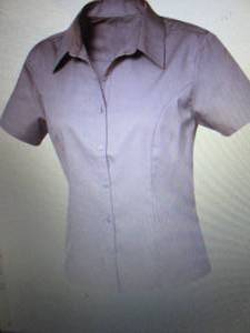 lot 146 image: 12 each Clique LNW00004 - Ladies S...