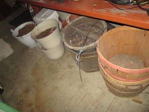 lot 214 image: Assortment of larger outdoor plante...