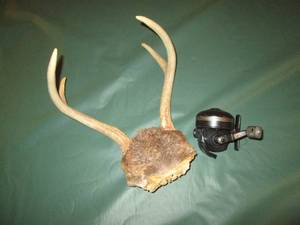 lot 171 image: Small deer antler mount with Johnso...