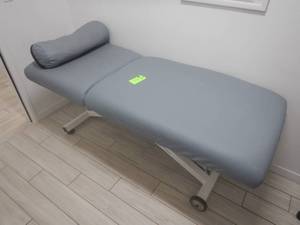 lot 11 image: Earthlite Electrical Adjustable Massage Table