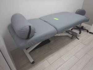 lot 17 image: Earthlite Electrical Adjustable Massage Table