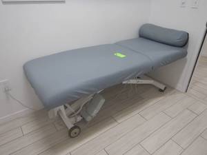 lot 21 image: Earthlite Electrical Adjustable Massage Table