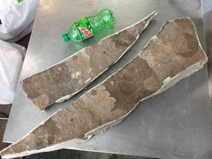 lot 134 image: 2 Slabs Fossil Leaves - Slabs 23 & 31 Long