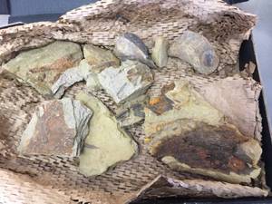 lot 211 image: Group Fossil - Petrified Bone