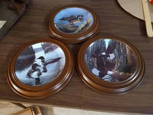 lot 117 image: (3) Decorative Bird Plates in Wooden Frames
