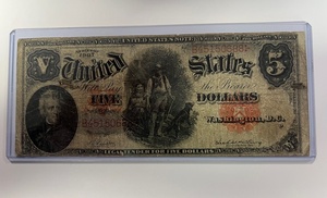 Beautiful 1907 $5.00 "Woodchopper" Free Shipping & Insurance