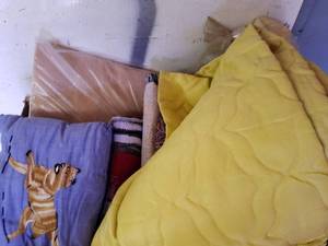 lot 243 image: Box of Throws. Most are Brand New