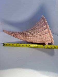 lot 79 image: Large Red Wing Cornucopia