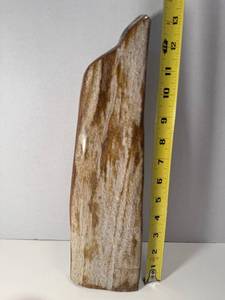 lot 47 image: Gorgeous Polished Petrified Wood, Weighting 5 lbs. 10 oz. 