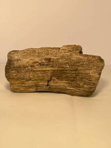 lot 90 image: Very Nice Piece of Petrified Wood, Weighing 4lbs. 14 oz.