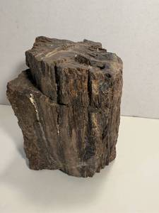 lot 96 image: 6 Pound Petrified Wood