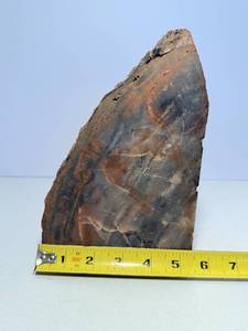 lot 52 image: Absolutely Stunning Piece of Petrified Wood. Weighing 8 lbs. 11 oz.