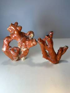 lot 70 image: Red Coral. Just shy of two pounds of Red Coral,