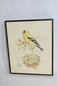 lot 129 image: Framed Bird Illustration Art by Barrett