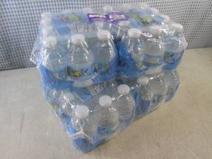 lot 224 image: (C-2) 2 - 24-Packs of Splash Acai G...