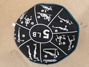 lot 19 image: Lot of 5LB Therapy Weight (New, Good Condition)
