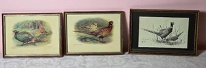 lot 596 image: Awesome Naturalist Fine Art Pheasant Print Collection - (3)