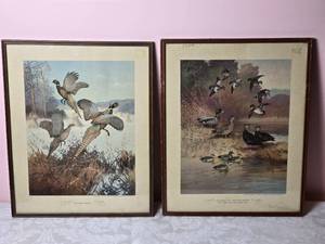 lot 588 image: Naturalist Fine Art Print Pair - Lynn Bogue Hunt