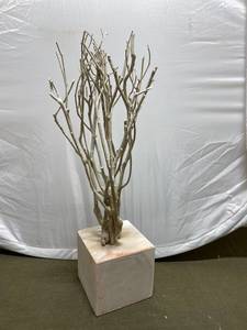 lot 3P image: Rustic Driftwood Sculpture on Wooden Base