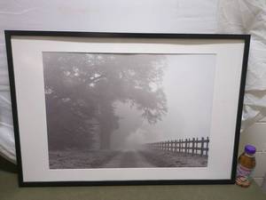 lot 17P image: Framed Foggy Pathway Photo Print Art 25x37