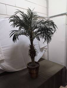 lot 24 image: Artificial Palm Tree in Woven Basket