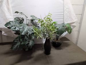 lot 41 image: Artificial Plant Set with Vases