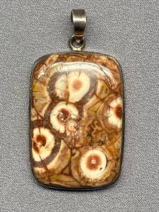 lot 26B image: Sterling Silver Pendant with Tiger Skin Jasper