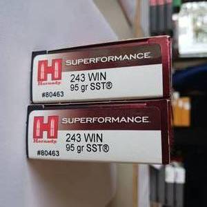 lot 21 image: HORNADY SUPERFORMANCE 243 WIN 95 gr SST  LOT OF 2 BOXES