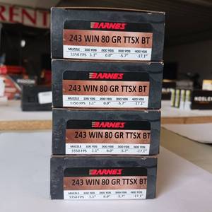 lot 37 image: BARNES 243 WIN 80 gr TTSX BT  lot has 4 boxes