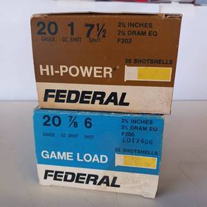 lot 62 image: 2 BOXES FEDERAL AMMO  HI POWER AN GAME LOAD