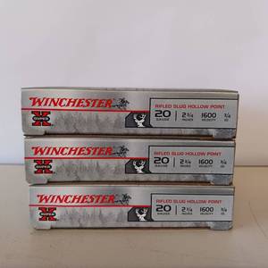 lot 99 image: WINCHESTER 20 GAUGE SLUGS  3 BOX LOT