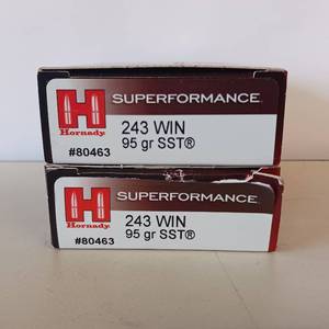 lot 122 image: HORNADY SUPERFORMANCE 243 WIN  95 GR SST  2 box lot