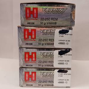lot 146 image: HORNADY VARMINT EXPRESS  22-250-REM   LOT of 4  boxes