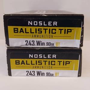 lot 184 image: NOSLER BALLISTIC TIP 243 WIN  90 gr BT  2 BOX LOT