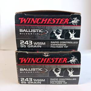 lot 206 image: 40 rounds - Winchester Ammunition Ballistic Silvertip 95 gr Polymer Tip .243 WSSM Ammo, 20box