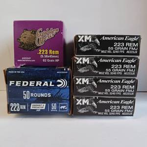 lot 207 image: 223 REM (5.56x45mm) - MIXED LOT - 150 ROUNDS TOTAL - FEDERAL - GOLDEN BEAR - AMERICAN EAGLE