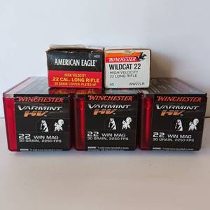 lot 232 image: 22 Long Rifle Ammunition - Mix Lot - 5 Boxes - Winchester - American Eagle